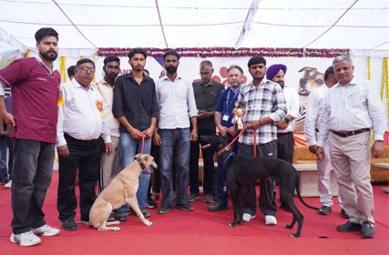 First Dog Show at Tantia University