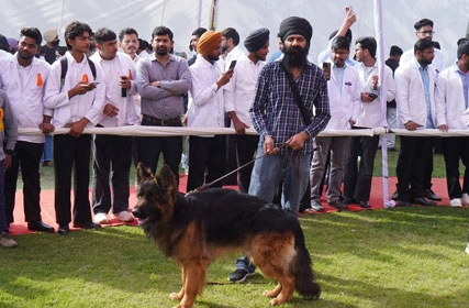 First Dog Show at Tantia University