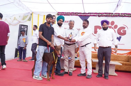 First Dog Show at Tantia University