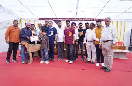 First Dog Show at Tantia University