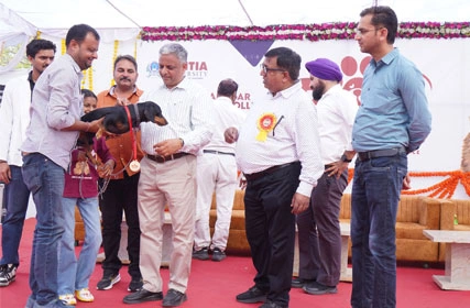 First Dog Show at Tantia University