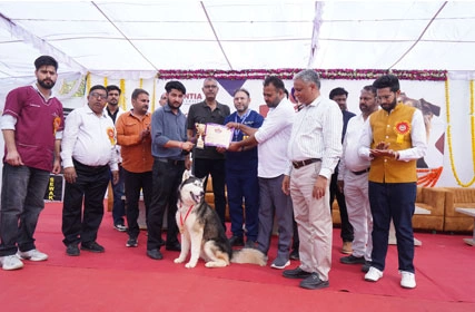 First Dog Show at Tantia University