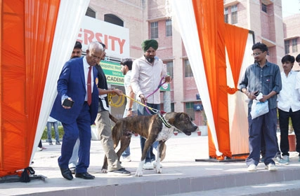 First Dog Show at Tantia University