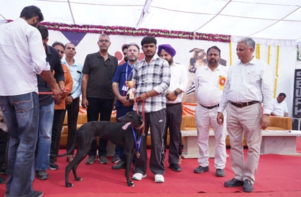 First Dog Show at Tantia University
