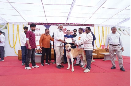 First Dog Show at Tantia University