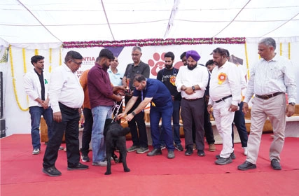 First Dog Show at Tantia University
