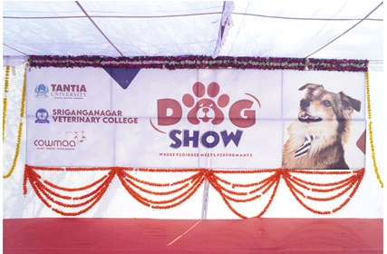 First Dog Show at Tantia University