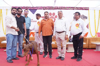First Dog Show at Tantia University