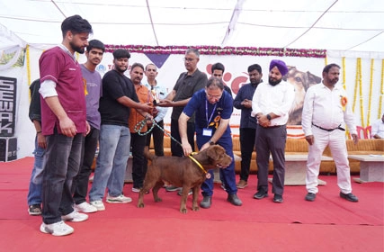 First Dog Show at Tantia University