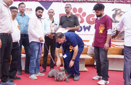 First Dog Show at Tantia University