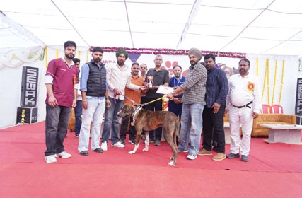 First Dog Show at Tantia University