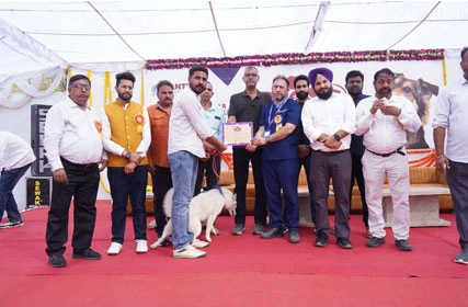 First Dog Show at Tantia University