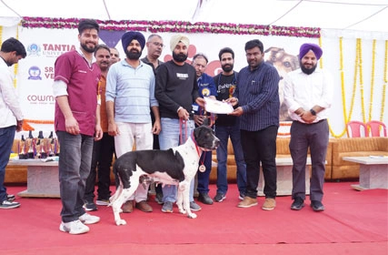 First Dog Show at Tantia University
